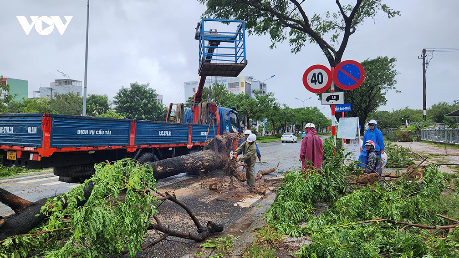 Đà Nẵng khẩn trương dọn cây gẫy đổ chủ động đối phó mưa lũ